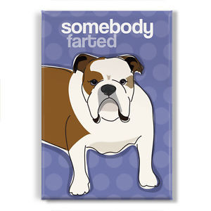Bulldog-Gifts-Refrigerator-Magnets-with-Funny-Sayings-Somebody-Farted