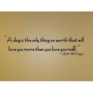 want to share some of my favorite quotes with you and see whether or ...