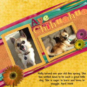 Quotes About Dogs for Scrapbook Pages