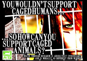 Animal Cruelty Campaign - animal-rights Photo