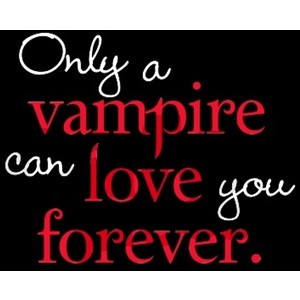 Vampire Love Twilight Hoodie (dark) - CafePress