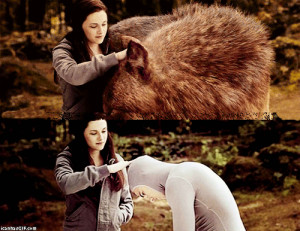 Twilight awkward gif Bella Jacob wolf Kristen Stewart petting Taylor ...