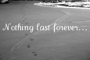 Nothing Lasts Forever Quotes