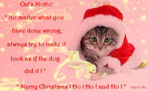 ... .pics22.com/wp-content/uploads/2012/06/cat-quote-merry-christmas.png