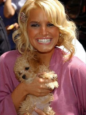 Jessica Simpson Famous or Funny Quotes