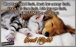 Good Night Friendship Quotes with Wallpapers, Sleeping Quotes in ...