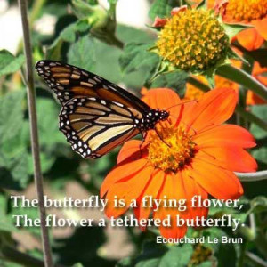 The Butterfly Is A Flying Flower...