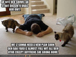 Cats Dispose Of Bad Boyfriends