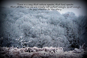love mixing my photos with quotes. To me, it makes them more ...