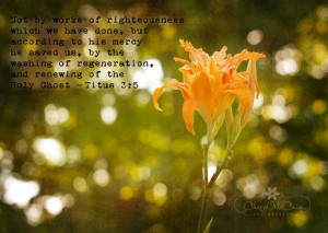 Tiger Lily, Bokeh, Quote