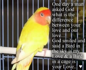 One day a man asked god what is difference quote