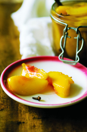 Homesick Texan Cookbook: Proud Texans, Pickled Peach, Blessed Texas ...