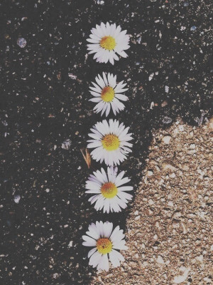 and White tumblr fashion food quotes beautiful summer skinny hipster ...