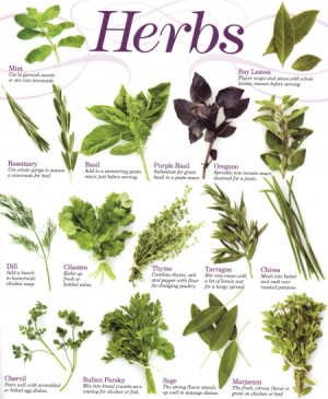 Herb Poster copyright MyWoodenSpoon.com