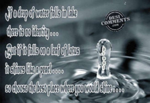 This picture was submitted by Preet.