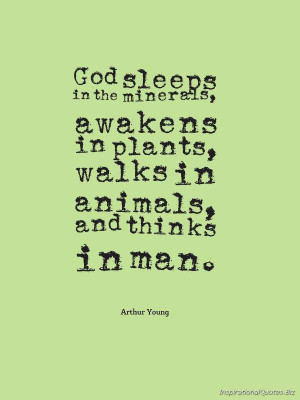 God Sleeps In The Minerals, Awakens In Plants | Inspirational Quotes