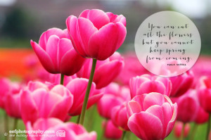 Monday morning spring quotes: ‘you can cut all the flowers, but you ...