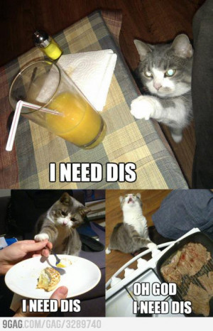 Submit a Comment Cancel reply