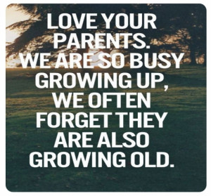 Quotes About Family Love And Support time to love your parents
