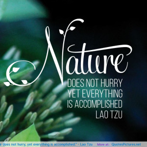 Nature does not hurry, yet everything is accomplished.” – Lao Tzu ...
