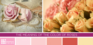The Meaning Of The Color Of Roses