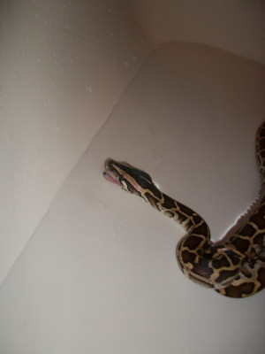 Post Funny Pictures Quotes