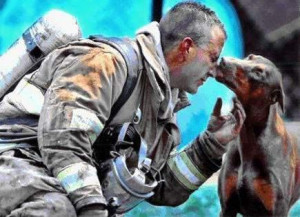 ... of a fireman and the pregnant Doberman he just rescued from a fire