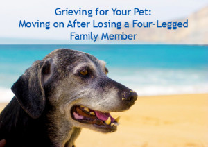 Grieving-for-Your-Pet-Moving-on-After-Losing-a-Four-Legged-Family ...