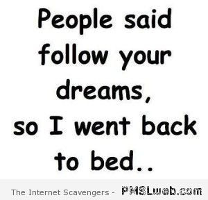 people-said-follow-your-dreams-funny-quote
