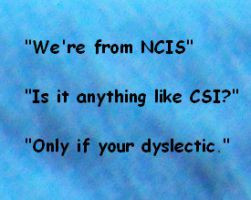 NCIS quote by Alondra-chui