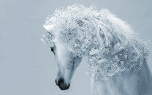 White Horse Fantasy Wallpaper HD Widescreen