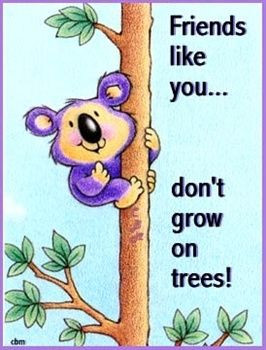 Friends like you don't grow on trees!
