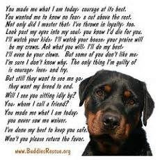 Funny Rottweiler Posters & Prints