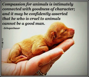 Compassion for animals is intimately connected with goodness of ...