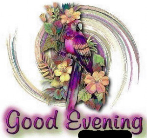 choose a dear one without understanding and never lose a dear one ...