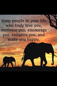 ELEPHANT LOVER, FOR THEIR COURAGE, WISDOM AND FAITHFUL LOVE