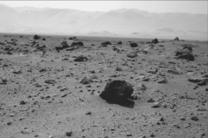 there is a guinea pig on mars