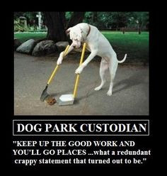 Dog Custodian