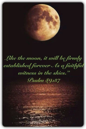 Oh Faithful Moon In The Sky!