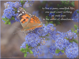 Mudita ~ The Practice of Sympathetic Joy