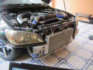 MY all beat up heads!!! they dont know whats coming for them :D