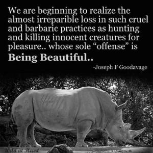 Animal Quotes, Animal Rights & Religions photo: