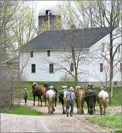 Amish Beliefs And Traditions