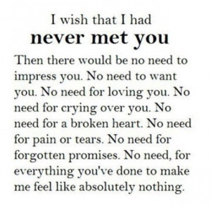 116083 I Wish I Had Never Met You jpg