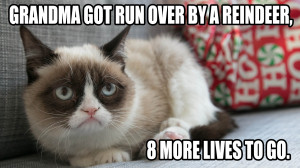 Crappy Holidays From Grumpy Cat!