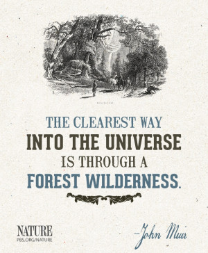 quote from naturalist and conservationist John Muir.
