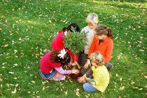 ... by planting trees through the “Fruit Tree 101” program