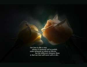 Cute Wallpaper Quotes