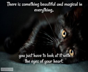 There is something beautiful and magical in everything.. you just have ...