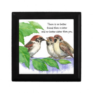 No Better Friend Sister Quote Bird Family Jewelry Boxes